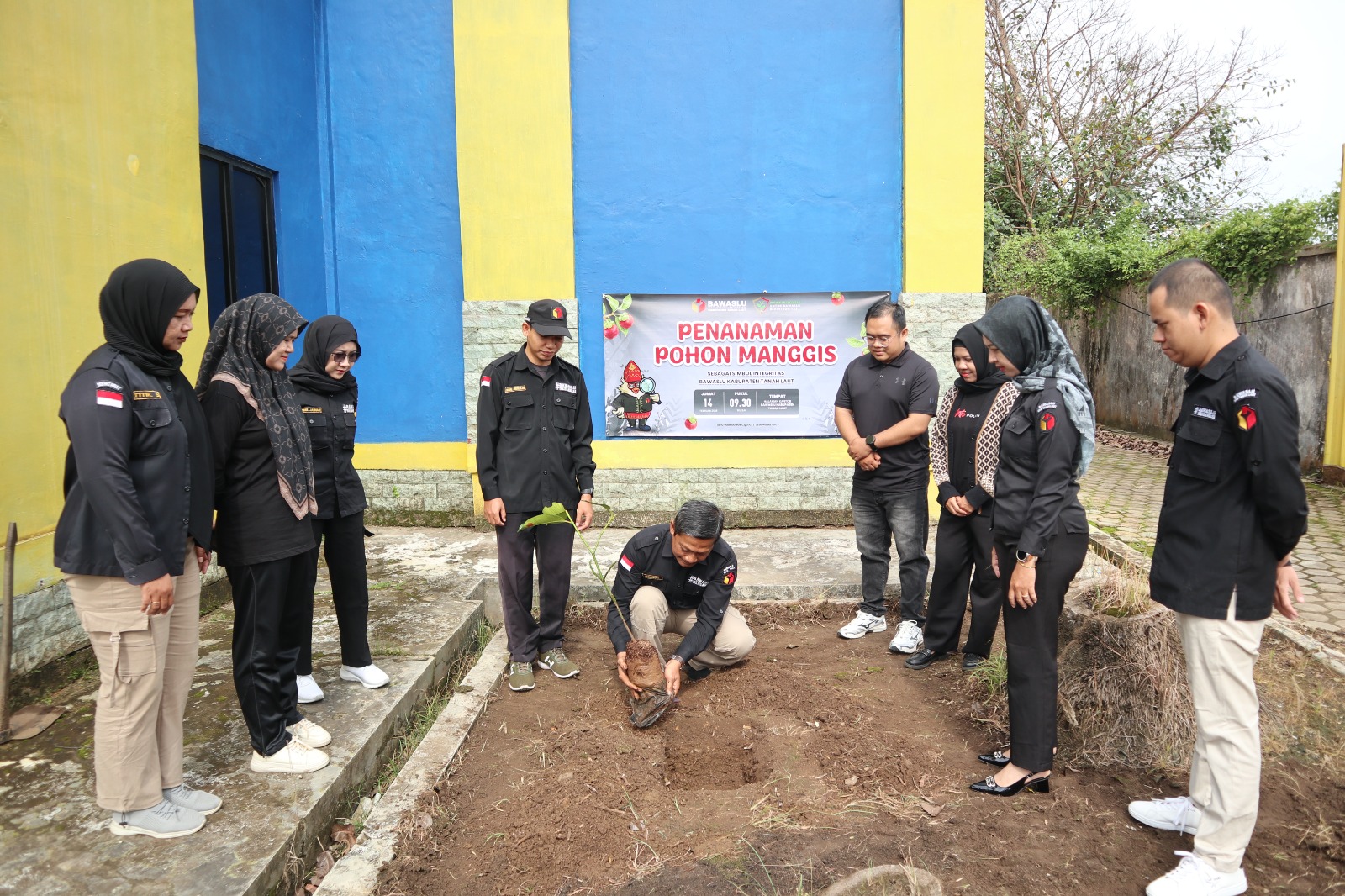manggis